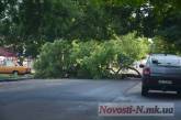 В Николаеве рухнувшее дерево полностью перекрыло одну из центральных улиц