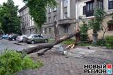 В центре Одессы на автостоянку рухнуло дерево. ВИДЕО, ФОТО