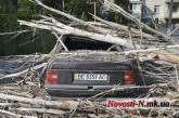 В центре Николаева рухнувшее дерево раздавило автомобиль и едва не убило 8-летнего ребенка