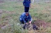 На Николаевщине спасли бычка, который упал в колодец