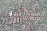 В Николаевской области у пункта приема металла нашли 44 взрывоопасных предмета