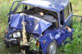 49-летний водитель на ВАЗе резался в дерево и от полученных травм погиб на месте ДТП