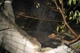 В Николаевской области загорелся нежилой дом