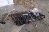 В Николаевской области во время пожара погиб пенсионер