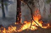 Лесные пожары на Николаевщине приобрели угрожающие масштабы