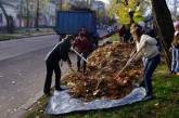 На последнем в этом году субботнике николаевцы очистили город от опавшей листвы