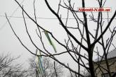 Сторонники Круглова украсили Первомайск ленточками цветов национального флага