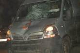 На Николаевщине водитель микроавтобуса сбил насмерть пенсионера