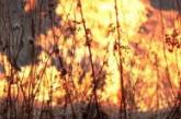 На Николевщине по вине фермеров горит несколько сотен гектаров заповедника