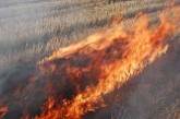Пожар в заповеднике на Николаевщине потушен! Выгорело более 100 гектаров целины