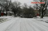 Рухнувшее дерево заблокировало улицу в центре Николаева