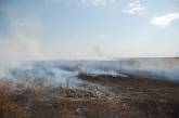 Человеческая неосторожность и жаркая погода — главные причины пожаров на Николаевщине