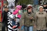 На улицах Николаева пешеходам напоминала правила поведения на дороге живая зебра