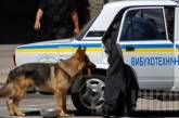 Милиция не нашла взрывчатки на «заминированных» в Киеве объектах  