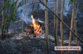 Под Николаевом горит Балабановский лес: пожар тушат почти сто человек. ФОТОРЕПОРТАЖ