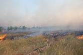 Пожар в Балабановке пылал более трех часов: выгорело 8 га леса