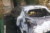 В Николаевской области горел автомобиль Renault