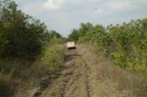 На Николаевщине парни за ночь похитили три автомобиля, чтобы позже сдать их на металлолом