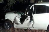  23-летняя девушка на Nissan Micra врезалась в дерево: водителя извлекали спасатели