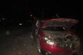 На Николаевщине перевернулся Nissan Qashqai: пассажир погиб