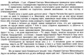 Правый сектор» в Николаеве обещает взять подсчет голосов на выборах под свой контроль