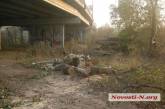 Вокруг Ингульского моста вырубают деревья: прокуратура потребовала очистить охранную зону