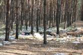 В Матвеевском лесу активисты уберут мусорную свалку, а на ее месте построят детскую площадку
