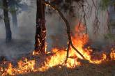 С начала года пожары уничтожили в Николаевской области 352,7 га зеленых насаждений