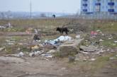 В Николаеве микрорайон Северный утопает в мусоре