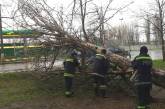 В Николаеве спасатели ликвидируют последствия непогоды