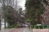 Николаевцы только за утро сообщили о 24 поваленных деревьях