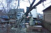 Последствия непогоды на Николаевщине: сорваны крыши, повалены деревья, подтоплены дома