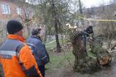 За двое суток непогода в Николаеве повалила более 240 деревьев 