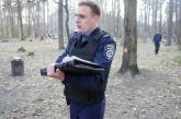 В пасхальный день в киевском парке произошла массовая драка, пострадал милиционер