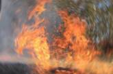 В Николаевской области на Пасху горел лес