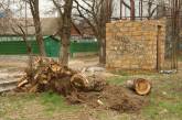 На проспекте Героев Сталинграда снова рубят деревья, и снова — под строительство АЗС