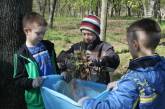 В николаевском парке "Победа" спортсмены провели эколого-практическую акцию