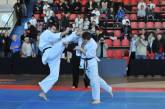 Николаевские каратисты на чемпионате Европы по киокушин карате заняли призовые места