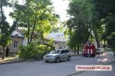В центре Николаева упавшее дерево повредило автомобиль