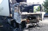 В Николаевской области на ходу загорелся грузовик