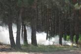 На Николаевщине за последние несколько дней ликвидировано четыре лесных пожара
