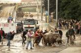 Разрушительный ливень в Тбилиси: десять погибших горожан, из зоопарка сбежали хищные животные