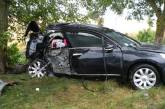 На трассе под Вознесенском автомобиль врезался в дерево: пострадали четыре человека