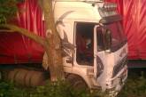 На Николаевщине грузовик, съехав с дороги, застрял между деревьями