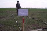 В Николаевской области найдено два артиллерийских снаряда времен войны