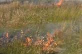 На Николаевщине за неделю зарегистрировано 47 пожаров на открытой территории