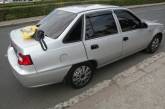 Николаевские правоохранители нашли в автомобиле 30 пакетов с "травкой"