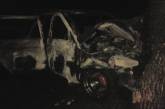 На Николаевщине авто врезалось в дерево и загорелось: водитель пострадал