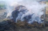 Из-за пожара сухой травы в Очакове едва не сгорели дома