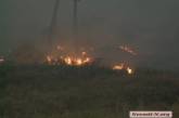 На въезде в Николаев степной пожар вплотную приблизился к АЗС. ВИДЕО